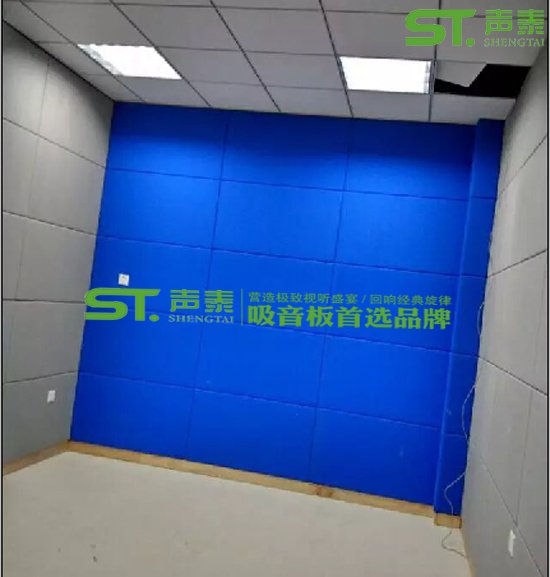 詢問室木質穿孔吸音板與皮革吸音軟包搭配效果(圖2)