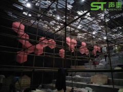麥希影業攜手聲泰打造高端電影院工程項目